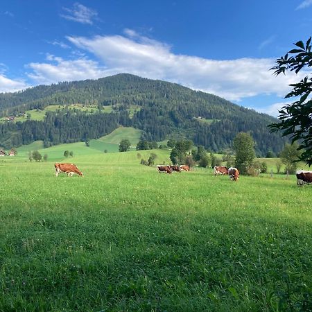 4 Elements Appartmenthaus Monarda Flachau Luaran gambar