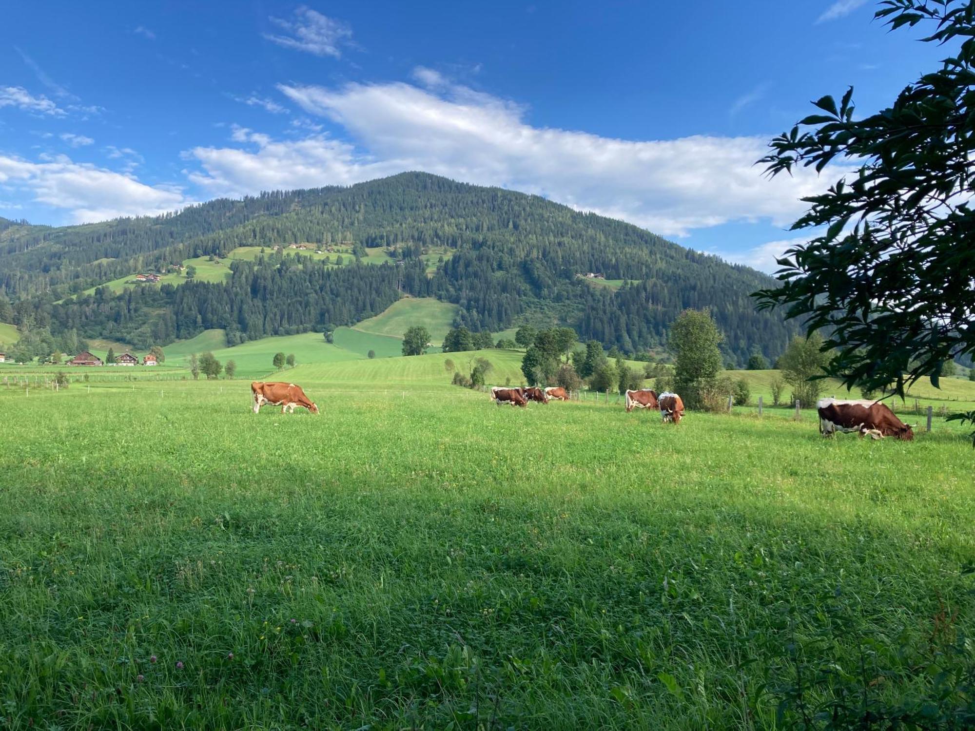 4 Elements Appartmenthaus Monarda Flachau Luaran gambar